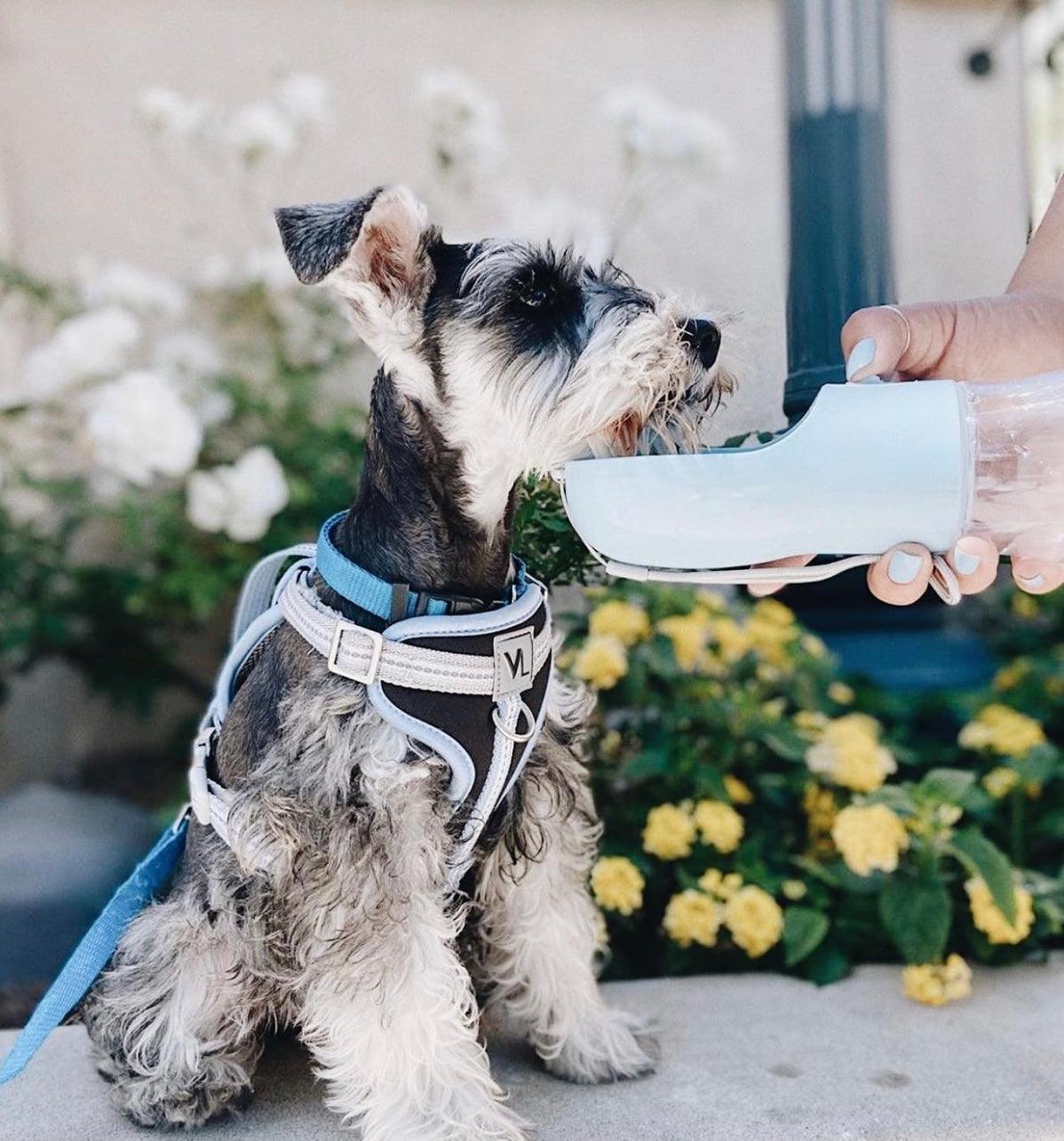 2-in-1 Portable Pet Water & Food Feeder Bottle