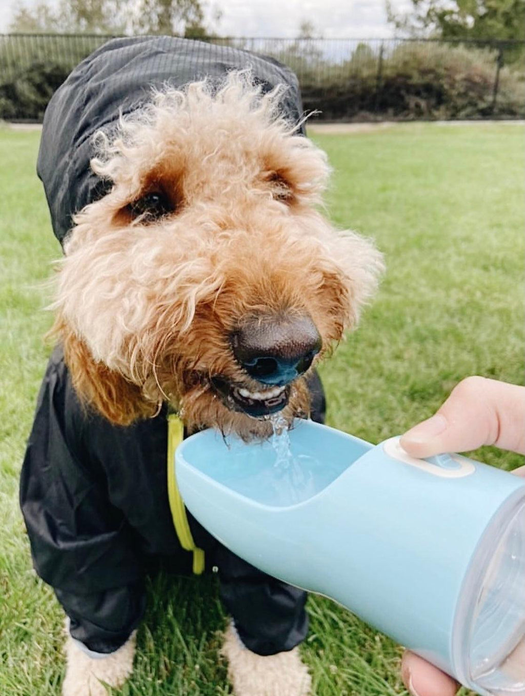 2-in-1 Portable Pet Water & Food Feeder Bottle