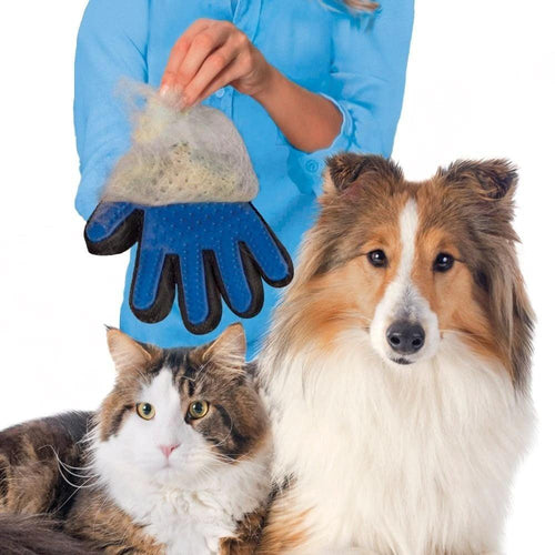 Pet Grooming & Deshedding Glove for Dogs & Cats